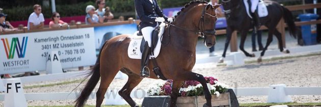 Longines FEI WBFSH World Breeding Dressage Championships for Young Horses