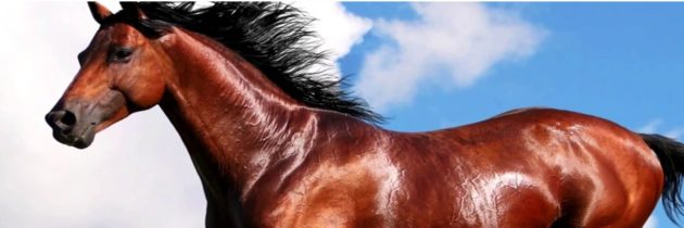 Urgent Message from SASCOC