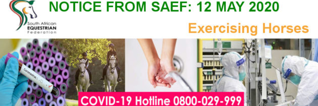 Update SAEF Communication: Exercising of horses