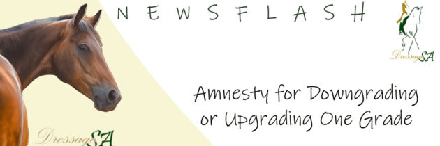 Amnesty for Downgrading or Upgrading One Grade
