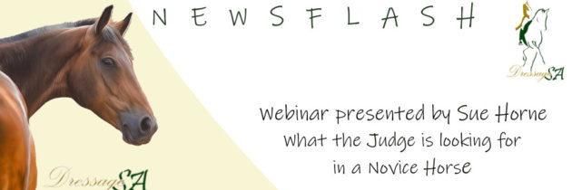 Webinar on Monday 7 September 2020